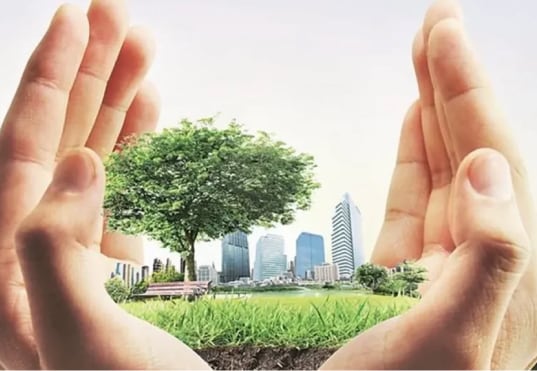  Leading Realtors Shift Toward Eco-Friendly Homes Amid Rising Demand for Sustainability